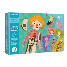 해외상품 인체모형 미국 스마트 랩 인체 장기 모델 Science STEM children-50821, 단일옵션, 옵션02