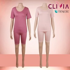 크리비아3부내의