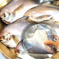 국내산 남해 냉동 손질 병어 병치 조림 찜 구이용 제철 횟감 급냉, 1개, 급냉 손질 병어 2미 300g 내외
