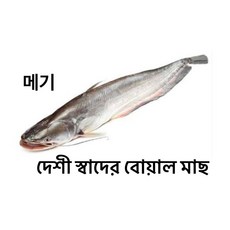 S.N. FOOD FROZEN BOAL CUT (냉동보알메기절단)미얀마 생선 1.5KG, 1개