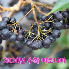 9fe26a90c90e53f3df3d1230efcc5002049082570b91bab63801f93fe00a.jpg