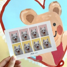 증명사진만들기