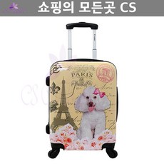 가방 기내용 배낭여행 짐싸기 캐리어 20인치 파리 기내용캐리어 대가족 휴가 이삿집