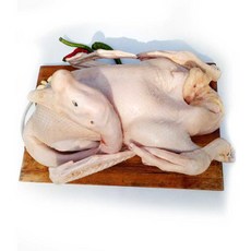 (배터짐) 보신용 (게사니) 거위고기 2.5kg~3kg내외 마라 토끼고기 꿩고기 (장끼) 오골계 토종닭 모음, 보신용 기러기고기(암컷)1.5kg내외+한방재료
