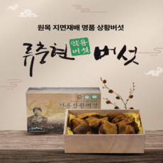 경북 버섯 명장이 보증하는 국내산 명품 상황버섯 - Dired Phellinus linteus (중품), 1박스, 500g