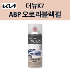 더뉴k7후방카메라순정