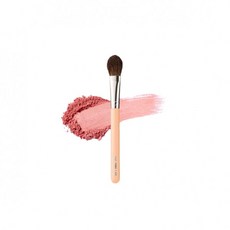 더툴랩파우더브러쉬