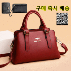 고야드크로스백