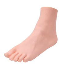468570 / CAMMITEVER 왼쪽 남자 발 마네킹 남성 피트 스탠드 양말 양말 디스플레이 모델 신발