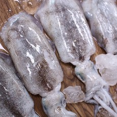 포항오징어낚시