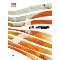 창문버드스트라이크