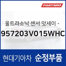 후방 충돌 경고 시스템(BWS) 센서 앗세이 (957203V015WHC) 그랜저 HG 그랜저 하이브리드 HGE, 1개