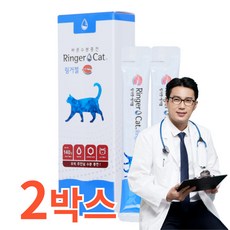 반려묘 간식 수분 영양제 고양이 전용 수분보충제 140g 10개입 국내산