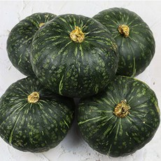 푸드꾸미 숙성 후숙 미니 단호박, 1박스, 2kg(미니)