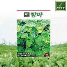 다년초사랑농원