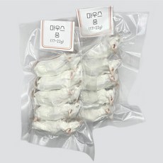 쥐선생 먹이용 냉동마우스 10마리 세트 [중] 세트, 1개, 170g
