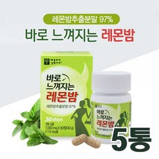 안선영