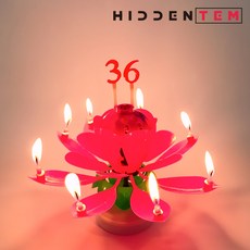 히든템 생일축하 회전 멜로디 숫자 연꽃초