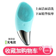 A4 클렌징기계 클렌징디바이스 전동세안기 에그클렌징 모공 세안 브러쉬 진동클렌저, 1개, 민트