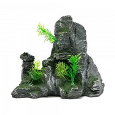 산호키우기