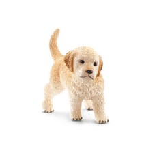 슐라이히강아지