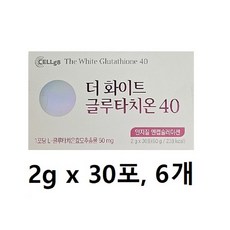 더 화이트 글루타치온 40 30포, 60g, 6개