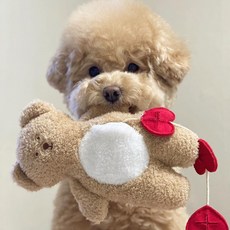 무아모아 강아지 노즈워크 애착인형 장난감, 1개, 하트베어