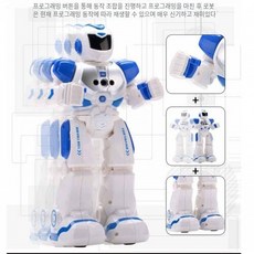 국경전쟁