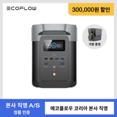 [세트 구매시 전기매트 추가증정] 에코플로우 EcoFlow 파워뱅크 델타2 DELTA 2 대용량 고속충전 캠핑용 휴대용 220V LFP 인산철 배터리, 델타2 (단품), 1개