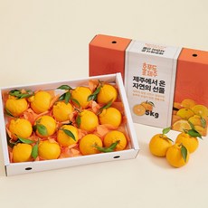 [선물세트] 제주 한라봉 3kg 13-16과, 1개