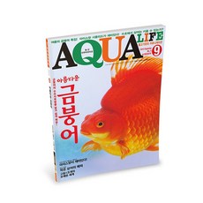 아쿠아라이프 2013년 9월호, 단품