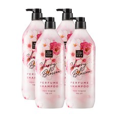 미쟝센체리블라썸