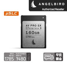 엔젤버드 AV PRO CFexpress SX Type B 160 GB, 상세페이지 참조