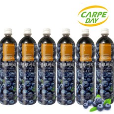 까르페 블루베리차 1000ml X 6개 액상 과일 아이스티