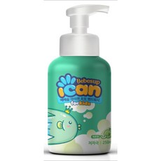 베베숲 아이캔 포밍 핸드워시 250ml, 메론향, 1개