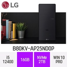 LG전자 B80KV-AP25ND0P - 인텔 사무용 인강용 재택근무용 미들타워 윈도우10프로 데스크탑, 16GB, Win10 Pro, 2TB