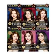리엔 흑모비책 한방 크림염색제, 05호 밝은 갈색, 1개