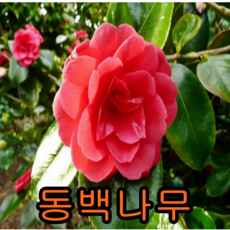 1e0e38bf640cc20a9b523544430c6f2a1a24c358ea781f19afd88ceb7b8d.png