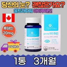 캐나다 가족 눈 건강 파워 아이 루테인90캡슐 3개월분 목넘김 흡수 남녀노소 컴퓨터 스마트폰 침침 어두운곳 TV 시청 책 어린이 청소년 야간 운전 희미 망막 보충 노화 활력 선물