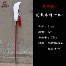 태극검 언월도 청품검 우슈 중국 무술 훈련 진가검 수련 용검, 09