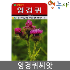 50ac0e74919e00e96268c92352fe6d23e360a8f1088fa00fea659d80e35f.png
