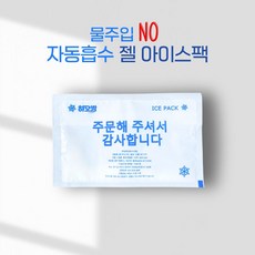 [하오방] 자동흡수 젤 아이스팩 250ML 10x15 반제품 냉동팩 터짐방지 배송포장용, 100개, 1개