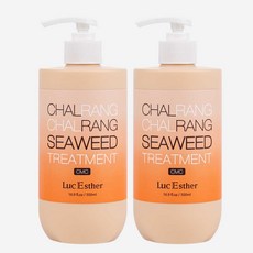 루체스터 찰랑찰랑 씨위드 CMC / LPP 물미역 단백질 헤어 트리트먼트, 500ml, 2개