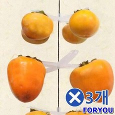감꽂이