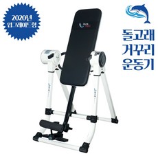 2021년 돌고래 거꾸리 헬스기구 순환운동 반중력 전자동운동기 허리운동 물구나무서기