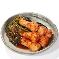 박사물김치
 [김치박사] 전라도 김치 총각김치 파김치 백김치 갓김치 (1종 선택상품) 전라도 알타리 총각김치 2kg 1개 2kg