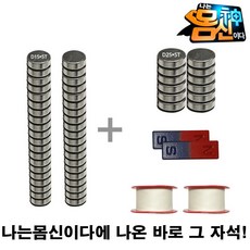 몸신자석