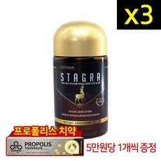스테그스피커