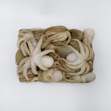 다인손질쭈꾸미1kg