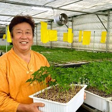 베이비실속세트